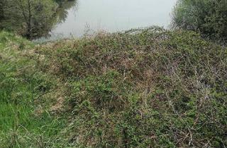 Gewerbeimmobilie kaufen in 3542 Gföhl, Sehr gepflegter Fischteich in Gföhl!