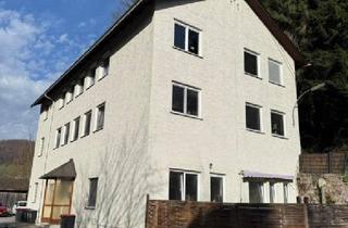 Anlageobjekt in 4460 Losenstein, ZINSHAUS - VERMIETET - LIEGENSCHAFT IST BEREITS PARIFIZIERT (Abverkauf einzeln möglich)