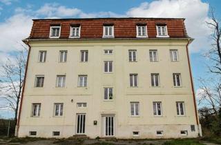 Grundstück zu kaufen in 2063 Zwingendorf, Großes Grundstück mit gut entwickelbarem Altbestand in Zwingendorf