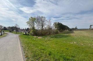 Grundstück zu kaufen in 7342 Kaisersdorf, Riesiges Grundstück am Fuße des Naturparks Landseerberge