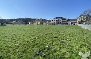 Grundstück zu kaufen in 8152 Stallhofen, Bestlage in Stallhofen - Bauareal für Wohnprojekt oder Aufparzellierung!