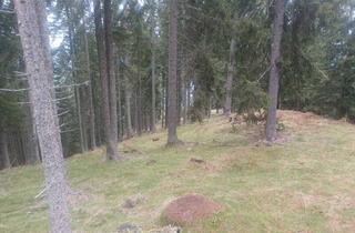 Gewerbeimmobilie kaufen in 9542 Verditz, Waldgrundstück zu verkaufen!