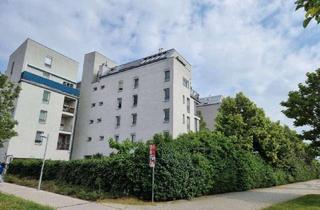 Wohnung mieten in Am Hofgartel, 1110 Wien, Koffer packen und einziehen inkl. Tiefgaragen Stellplatz - Gartennutzung