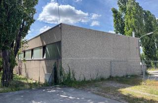 Immobilie mieten in Neubaugasse/Schulgasse, 2326 Lanzendorf, Werkstätte zum Durchstarten