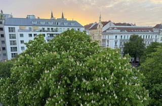 Maisonette mieten in 1080 Wien, TOP-TERRASSEN-DACHGESCHOSSWOHNUNG