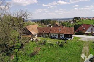 Grundstück zu kaufen in 8143 Muttendorf, Baugrund mit altem Bauernhaus in Top-Aussichtslage