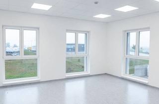 Büro zu mieten in Wien Schwechat Mödling Bruck An Der Leitha, 2325 Himberg, IHR NEUER REPRÄSENTATIVER FIRMENSITZ! MODERNE BÜRO-, VERKAUFS- UND LAGERFLÄCHEN MIT TOP-AUSSTATTUNG