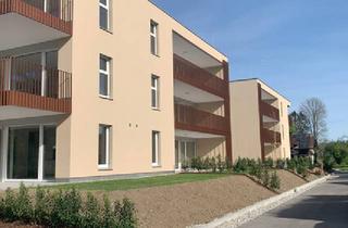 Wohnung mieten in 6842 Koblach, Exklusive 3 Zimmer Neubauwohnung mit Terrasse W04 OG1 auf 62,97 m² in Koblach