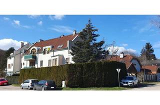 Reihenhaus kaufen in 3001 Mauerbach, Großzügiges Eckreihenhaus in Mauerbach, WG Tauglich