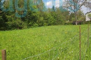 Grundstück zu kaufen in 4652 Steinerkirchen an der Traun, Baugrund für Ihren Wohntraum - optional mit Fischteich