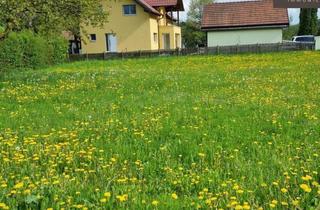 Grundstück zu kaufen in Am Mühlgraben, 2392 Grub, Ihr Traumgrundstück in Grub i. Wienerwald 702m² Baugrund für nur 280.000 €!