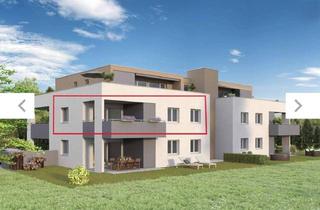 Wohnung kaufen in Neue Landstrasse 64a, 6841 Mäder, *Provisionsfrei & Wohnbauförderung* 3-Zimmer-Wohnung mit Terrasse in Toplage von Mäder