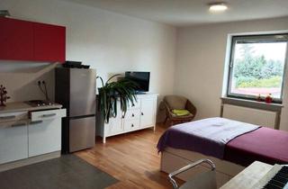 Wohnung mieten in Krauäckergasse 28, 7301 Deutschkreutz, Garconier / Wohngemeinschaft