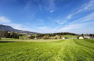 Grundstück zu kaufen in 8061 Sankt Radegund bei Graz, SONNIGES BAUGRUNDSTÜCK IN HERRLICHER GRÜNLAGE – NUR 10 MINUTEN VON GRAZ ENTFERNT!