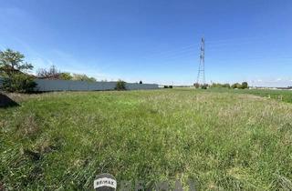 Grundstück zu kaufen in 3435 Dürnrohr, "Sonniges Grundstück in Dürnrohr - Bauland Wohngebiet"
