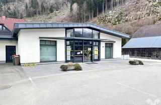 Gewerbeimmobilie kaufen in 8775 Kalwang, Moderne Büroimmobilie in Kalwang