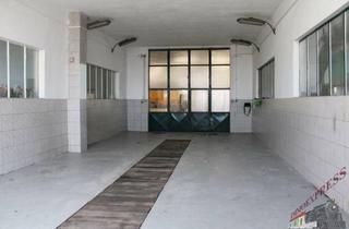 Immobilie mieten in 2432 Schwadorf, Sehr gut gelegen Halle in Schwadorf für Hebebühnen geeignet