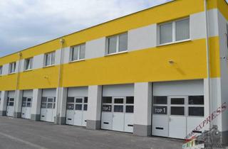 Garagen mieten in 2401 Fischamend-Dorf, Sehr gut gelegene Garagenbox für Hebebühnen geeignet mit großem Einfahrtstor 3 m x 3 m