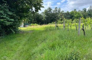 Gewerbeimmobilie kaufen in 7512 Kohfidisch, Burgenlands Weinparadies: Landwirtschafts- und Weinbauliegenschaft zum Traumpreis!