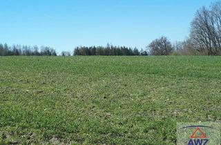 Gewerbeimmobilie kaufen in 4723 Natternbach, Für Landwirte - Schöner, optimaler Acker mit ca. 3.5 ha zu verkaufen
