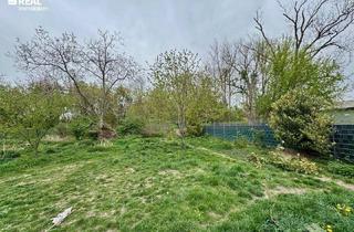 Grundstück zu kaufen in 2602 Blumau-Neurißhof, Grundstück in Blumau-Neurißhof - Tolle Gestaltungsmöglichkeiten für Ihr Traumhaus auf 600 m²