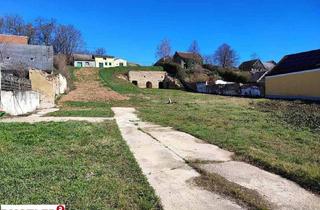 Grundstück zu kaufen in 2225 Zistersdorf, Zwei vielseitige Grundstücke in Blumenthal – Wohnen & Natur auf über 8.300 m²