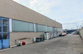 Lager mieten in Citygate, 1220 Wien, Ebenerdige Werkstatt- und Lagerfläche