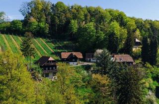 Villen zu kaufen in Kranachberg, 8462 Gamlitz, Südsteirisches Weinparadies: Über 5ha Grund, 5 Häuser und viele Ideen!