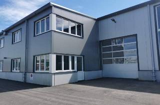 Büro zu mieten in 2102 Bisamberg, Neugeschaffenes Betriebsobjekt mit Hallen und Büros | 617m² Nutzfläche