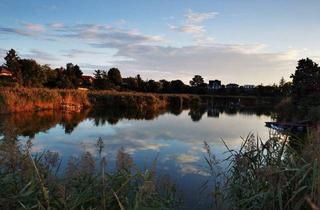Grundstück zu kaufen in 2332 Hennersdorf, BAUEN MIT WEITBLICK! - Großzügiges Seegrundstück mit Entwicklungspotenzial in Bestlage von Hennersdorf!