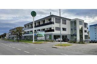 Loft mieten in Pottendorferstraße, 2700 Wiener Neustadt, Sonnendurchflutete 2-Zimmer Loftwohnung