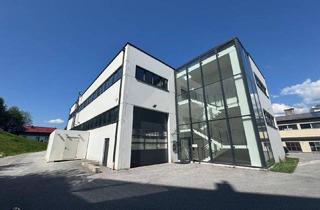 Büro zu mieten in 5400 Hallein, ERSTBEZUG | 404 m2 Büro- Ausstellungs- Fitnessflächen | in Hallein - Salzburg Süd