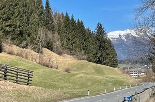 Grundstück zu kaufen in 5580 Tamsweg, Landwirtschaftliches Grundstück