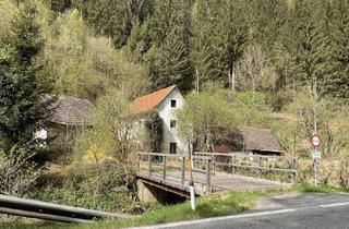 Gewerbeimmobilie kaufen in Steirerstraße, 9375 Hüttenberg, FORSTWIRTSCHAFT MIT HOFSTELLE IN HÜTTENBERG - GEBÄUDE ABBRUCHREIF