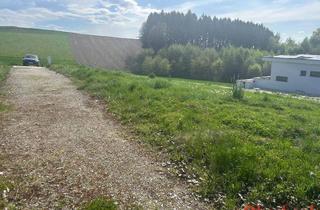 Grundstück zu kaufen in 4776 Diersbach, wunderschöner Baugrund provisionsfrei