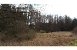 Grundstück zu kaufen in 3902 Eschenau, 3902 Eschenau. Grundstück mit kl. Bachlauf