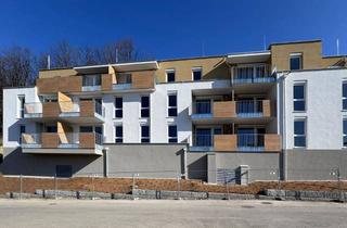 Wohnung mieten in 3033 Altlengbach, ERSTBEZUG: moderne Dachterrassenwohnung mit Ausblick