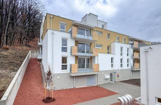 Wohnung mieten in 3033 Altlengbach, ERSTBEZUG: Eckwohnung mit Blick ins Grüne