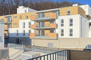 Wohnung mieten in 3033 Altlengbach, ERSTBEZUG: hochwertige Dachterrassenwohnung