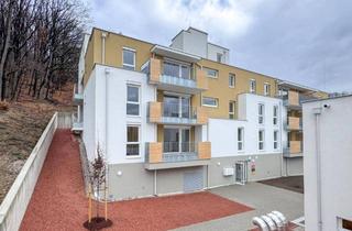 Wohnung mieten in 3033 Altlengbach, ERSTBEZUG: Wohnen mit Ausblick in Altlengbach