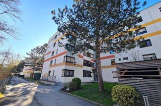 Wohnung kaufen in Hermann Aust Gasse, 8054 Graz, Komplett ruhig gelegene Wohnung in Graz Strassgang