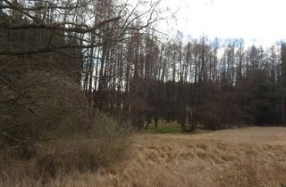 Grundstück zu kaufen in 3902 Eschenau, 3902 Eschenau. Grundstück mit kl. Bachlauf