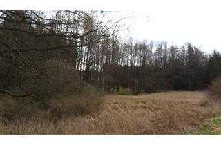 Grundstück zu kaufen in 3902 Eschenau, 3902 Eschenau. Grundstück mit kl. Bachlauf