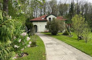 Haus kaufen in 2123 Hautzendorf, WIEN NÄHE - AUSSERGEWÖHNLICHES GRUNDSTÜCK MIT NEUWERTIGEM HAUS, WEINKELLER, GARTEN UND WALD