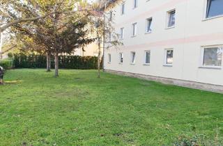 Wohnung mieten in Guntramsdorfer Straße 30, 2514 Möllersdorf, Ein - Zimmerwohnung zu vermieten!
