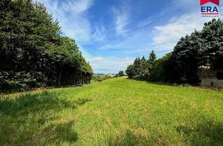 Grundstück zu kaufen in 2126 Ladendorf, 2125 Neubau - Grundstücke ab ca. 700m² zu verkaufen