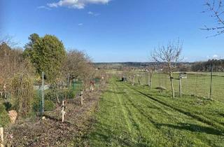 Grundstück zu kaufen in 3950 Gmünd, Provisionsfrei - Schönes Freizeitgrundstück mit Obstgarten
