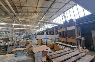 Büro zu mieten in 2512 Tribuswinkel, A2 Baden: Ihre neue Produktionsstätte