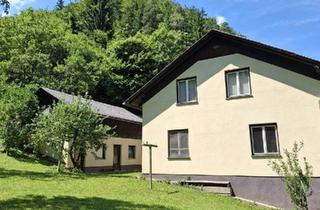 Mehrfamilienhaus kaufen in 8580 Köflach, Großes Ein-Mehrfamilienhaus mit Wald in Köflach!