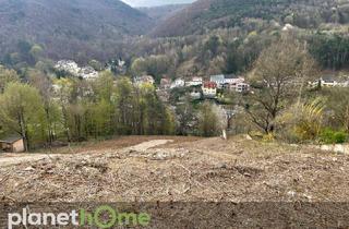 Grundstück zu kaufen in 2391 Kaltenleutgeben, Grundstück in Hanglage in Kaltenleutgeben